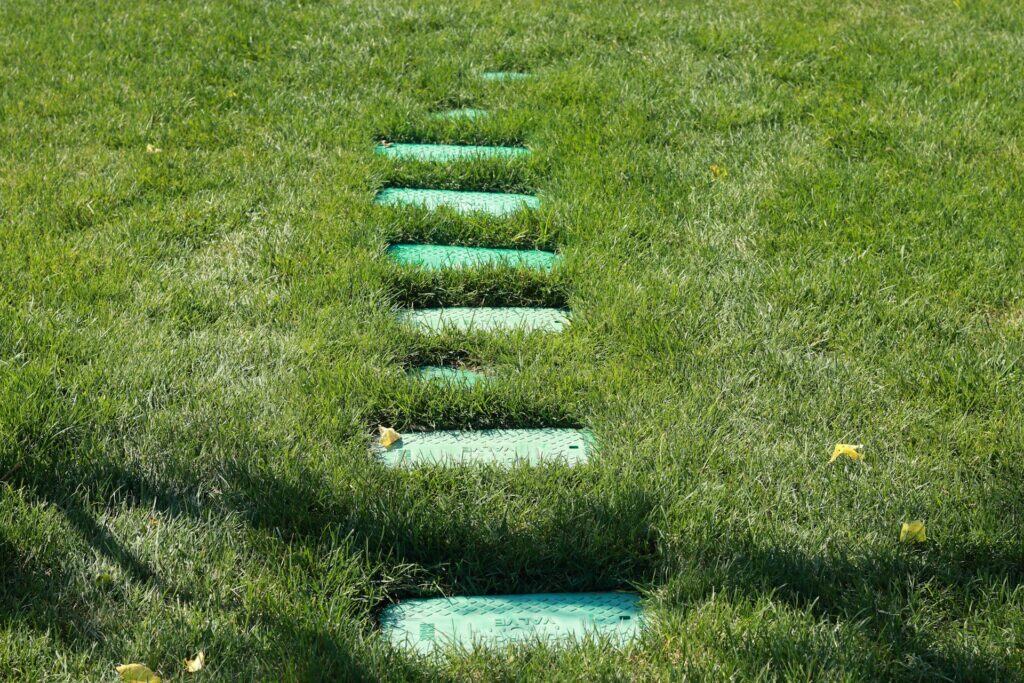 regeneracja trawnika