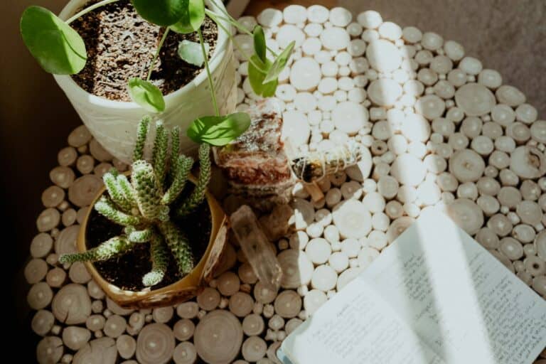 Domowe rytuały relaksu: Jak dbać o siebie i swój dom w zgodzie z naturą?