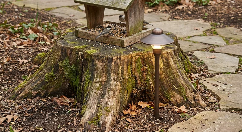 Stary pień drzewa porośnięty mchem, na którym stoi drewniany karmnik z ptakami, a obok świeci metalowa lampa ogrodowa.